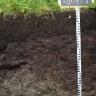 Das Foto zeigt ein Bodenprofil unter Grünland. Es handelt sich um ein Musterprofil des LGRB. Das schwarzbraune Profil ist etwa 80 cm tief. Am Boden steht Wasser.