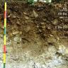 Das Foto zeigt ein Bodenprofil unter Wald. Es handelt sich um ein Musterprofil des LGRB. Das fünf Horizonte umfassende Bodenprofil ist etwa 90 cm tief.