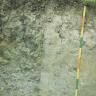 Das Foto zeigt ein Bodenprofil unter Wald. Es handelt sich um ein Musterprofil des LGRB. Das Bodenprofil ist über 1 m tief.