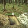Das Bild zeigt eine offene, rechteckige Grube mitten in einem Wald. Die ausgegrabene Erde ist zu beiden Seiten der Grube aufgehäuft. Rechts besteht die Erde aus groben Schollen, links ist sie feiner.