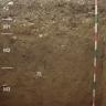 Das Foto zeigt ein Bodenprofil unter Grünland. Es handelt sich um ein Musterprofil des LGRB. Das fünf Horizonte umfassende Bodenprofil ist etwa 1,50 m tief.