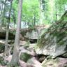 Das Bild zeigt mehrere aufeinander getürmte, rötlich graue und mit Moos bewachsene Felsblöcke inmitten eines aus hohen, schlanken Bäumen bestehenden Waldes. Links und mittig sind auch Spalten und Höhlen erkennbar.
