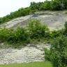 Blick auf eine steile, graugelb gefärbte Felswand, die in mittlerer Höhe von Bäumen bewachsen ist. Auf der Kuppe der Felswand stehen ebenfalls Bäume.