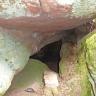 Eingerahmt von rötlich grauen Felsbänken, die eine Art Kammer mit vorkragender Decke bilden, liegt der dreieckige Eingang zu einer Höhle.