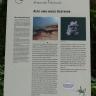 Nahaufnahme einer Informationstafel zum Geo-Naturpark Bergstraße-Odenwald. In Bild und Text wird über Buntsandstein und Kalktuff erzählt.