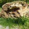 Blick auf einen großen, neben einem Fußweg aufgestellten Steinblock. Die Oberfläche des gelblichen bis graubraunen Gesteins ist stark zerklüftet und teils bewachsen.