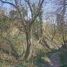 Blick auf zwei Lösshänge mit steilen, hohen Wänden, die teils mit Bäumen bewachsen sind. Ein schmaler, links mit einem Geländer gesicherter Weg führt zwischen den Lösshängen hindurch.