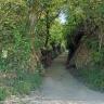 Blick auf den Eingang eines Hohlweges. Im Vordergrund rechts macht der Weg eine Krümmung, die dortige Böschung ist steil und höher als die Hohlwegwände auf der linken Seite. Alle Böschungen sind stark zugewachsen.