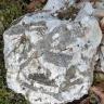 Nahaufnahme eines weißlichen Gesteinsstückes aus einem alten Steinbruch. Eingeschlossen sind dunklere, graue Kristallbahnen.