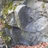 Nahaufnahme von Gestein einer ehemaligen Steinbruchwand. Das Gestein ist bläulich grau und steht teils nasenartig vor. Die Simse sind bemoost.