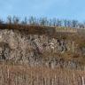 Aufwärts gerichteter Blick auf einen Hang mit Rebstöcken. Am oberen Ende erhebt sich eine langgestreckte, nach rechts abfallende Felswand. Auf der Kuppe der Wand verlaufen Stein- und Betonmauern.