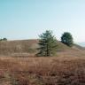 Auf einer rotbraunen, flachen Heide mit einzelnen Bäumen erheben sich zwei nach links geneigte, grünlich braune Hügel oder Dünen.