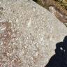 Teilansicht eines großen hellgrauen Felsens mit zahlreichen weißen Einsprenglingen. Rechts ist die leicht gerundete Kante des Felsens sichtbar sowie der Schatten des Fotografen.