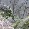 Blick von oben über eine Felskante auf einen moosbewachsenen, höckerartigen Wasserfall links und eine bemooste Felsenbrücke rechts, über die ebenfalls Wasser, wie in einer Rinne, fließt. Im Hintergrund stehen kahle Bäume.