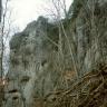 Blick auf eine nach rechts ansteigende, über Eck gehende graue Felsgruppe mit Höhlen und Nischen sowie Bäumen davor. Im Vordergrund liegen auf einem Steilhang abgebrochene Äste und Zweige.