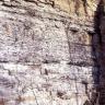 Seitlicher Blick auf eine hohe Gesteinswand. Die Steilwand zeigt drei unterschiedliche Schichten: Schwarzgrau am Fuß der Wand, weißlich grau und glatt bis plattig im Hauptteil sowie gelblich braun unterhalb der bewachsenen Kuppe.