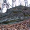 Blick auf eine längliche Felsenbank oberhalb einem mit Laub bedeckten Waldhang. Das dunkelgraue Gestein ist von Nischen und Furchen durchzogen und zudem bewachsen.