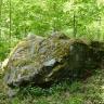 Das Bild zeigt einen in dichtem Wald liegenden, großen länglichen Felsbrocken. Das Gestein ist grau, gezackt, teilweise gerundet sowie mit Moos bedeckt.