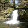 In der Mitte dieses Bildes trennt ein kleiner Wasserfall zwei mit Moos und knorrigen Bäumen bewachsene Felsblöcke. Der Wasserfall verspritzt weiße Gischt.