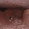 Blick in das Innere einer Höhle. Erkennbar sind Wände und Decke mit netzartigen Strukturen. Die Höhle knickt nach links hinten ab. Im Vordergrund, auf dem Boden, liegen Bruchscherben. Ein Hund läuft nebenher.