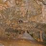 Blick auf Boden und Decke einer Höhle. Beides ist mit zahlreichen Tropfsteinen behängt und bewachsen. Das Gebilde ähnelt dem Rachen eines Hais und ist auch so benannt.