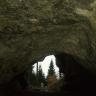 Blick aus dem Inneren einer Höhle nach draußen. Der Ein- beziehungsweise Ausgang ist nach oben hin spitz, unten schräg verlaufend und abgerundet. Die hohe Höhlendecke ist dunkelbraun gefärbt.