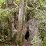 Zwischen hohen Bäumen fast versteckt, ist hier ein kleinerer, verwachsener Felsenkopf zu sehen. Am Fuß des Felsens öffnet sich eine schmale Höhlenspalte.