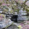 Zwischen graublauen Felsblöcken, unterhalb einer bewaldeten Böschung, öffnet sich eine kleinere Quellhöhle. Ein schmaler Bach fließt daraus auf den Betrachter zu.