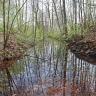 Blick auf einen Wasserlauf, der sich zum Betrachter hin verbreitert. Die Ufer links und rechts bestehen aus Böschungen mit Bäumen. Rechts sind auch größere Steine vorhanden, am linken Ufer führt ein Fußweg die Böschung hinauf.