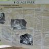 Schautafel des „Ice Age Park“, die von der Entdeckung des Petersfelsens sowie ersten Ausgrabungen berichtet.