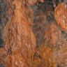 Nahaufnahme von Tropfsteinbildungen, orangerot gefärbt und feucht glänzend, an einer Wand in einem Besucherbergwerk.