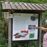 Das Foto zeigt eine bebilderte und überdachte Schautafel im Naturpark Schönbuch. Eine Besucherin rechts weist auf das Bild einer Störungszone hin.