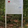 Gezeigt wird hier eine größere Informationstafel des Geologischen Pfades in Gaildorf. Die Tafel erzählt mit Texten und farbigen Grafiken vom Keuper. Die Tafel ist vor einem dichten, schattigen Wald aufgestellt.