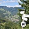 Blick von erhöhtem Standort auf eine Schwarzwald-Landschaft mit bewaldeten Bergen, waldfreien Hängen und einer Ortschaft. Rechts im Vordergrund, vor einem Nadelbaum, steht ein Schild mit verschiedenen Wegweisern.