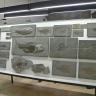 Das Foto zeigt eine große Glasvitrine mit zahlreichen fossilen Fischen, die in unterschiedlich große Steinplatten eingegebettet sind.