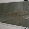 Seitlicher Blick auf einen in dunkelgrauen Gesteinsplatten konservierten Fischsaurier. Neben dem großen, mit einem langen spitzen Kiefer ausgestatteten Fossil gibt es links oben noch ein kleineres Tier zu bestaunen.
