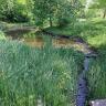 Blick auf ein schmales Rinnsal, das zum Hintergrund hin einen kurvigen Verlauf nimmt und sich dabei verbreitert. Die flachen bis leicht ansteigenden Ufer des Gewässers bestehen aus Gras, Schilf und Bäumen.