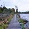 Das Bild zeigt einen vom Betrachter wegführenden Holzbohlenweg. Rechts des Weges breitet sich ein Gewässer aus, links ein naturbelassener Wald.