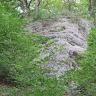 Zwischen Bäumen links und rechts schaut man auf eine hellgraue Felswand mit streifiger bis körniger Oberfläche. Auch die Kuppe des Felsens ist mit Bäumen bewachsen.