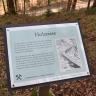 Blick auf eine Schautafel am bergbauhistorischen Lehrpfad Birkenberg. Die Tafel steht vor einem zum Hintergrund hin abfallenden Waldhang und berichtet von Holzriesen, Gleitbahnen für geschlagene Baumstämme.