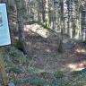 Seitlicher Blick auf eine wannenartige Vertiefung an einem Waldhang. Links davon steht eine bebilderte Schautafel zum Thema Pingen.