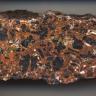 Großaufnahme eines länglichen Gesteinsbrockens mit gewellten Kanten und geschliffener Oberfläche. Das Gestein ist rötlich braun mit kleinen weißen und gelben sowie großen schwarzen Einschlüssen. 