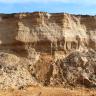 Abbauwand einer Sandgrube in der Goldshöfe-Sande abgebaut werden.