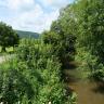 Blick auf einen schmalen, auf der rechten Bildseite zum Betrachter fließenden Fluss. Das Ufer rechts ist von hohen Bäumen gesäumt. Links wachsen Büsche und Sträucher. Das Gewässer hat eine braungrüne Farbe.