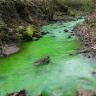 Blick auf einen zum Betrachter hinfließenden Bach. Das Gewässer hat eine auffallend grünliche Färbung als Folge eines Markierungsversuches.
