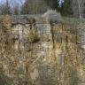 Blick auf eine Steinbruchwand mit sichtbaren Karstspuren. Das Gestein ist hellbraun bis gelblich braun, mit teils grauen Verfärbungen. Die obere Kante des Bruches ist bewachsen.