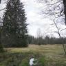 Blick auf eine Moorlandschaft mit graubraunen, teils mit Wasser bedeckten Feuchtböden im Vorder- und Mittelgrund. An den Seiten stehen einzelne kahle Laubbäume sowie ein Nadelbaum. Im Hintergrund ist Wald erkennbar.