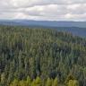 Weiter Blick über bewaldete, im Vordergrund nach rechts abfallende Bergrücken. Der Großteil der Waldflächen besteht aus Nadelbäumen.