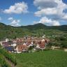 Blick über einen Weinberg auf eine darunter ausgebreitete Siedlung. Rechts verläuft ein Lösshohlweg. Im Hintergrund erheben sich teils terrassierte Hänge, rechts der Bildmitte auch ein bewaldeter Berg mit Sendemast.