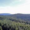 Blick aus großer Höhe über bewaldete Berge. In der Bildmitte ein leicht gerundeter Berg, dahinter links ein länglicher, flacher Rücken. Im Vordergrund fällt ein Waldhang nach rechts hin ab.